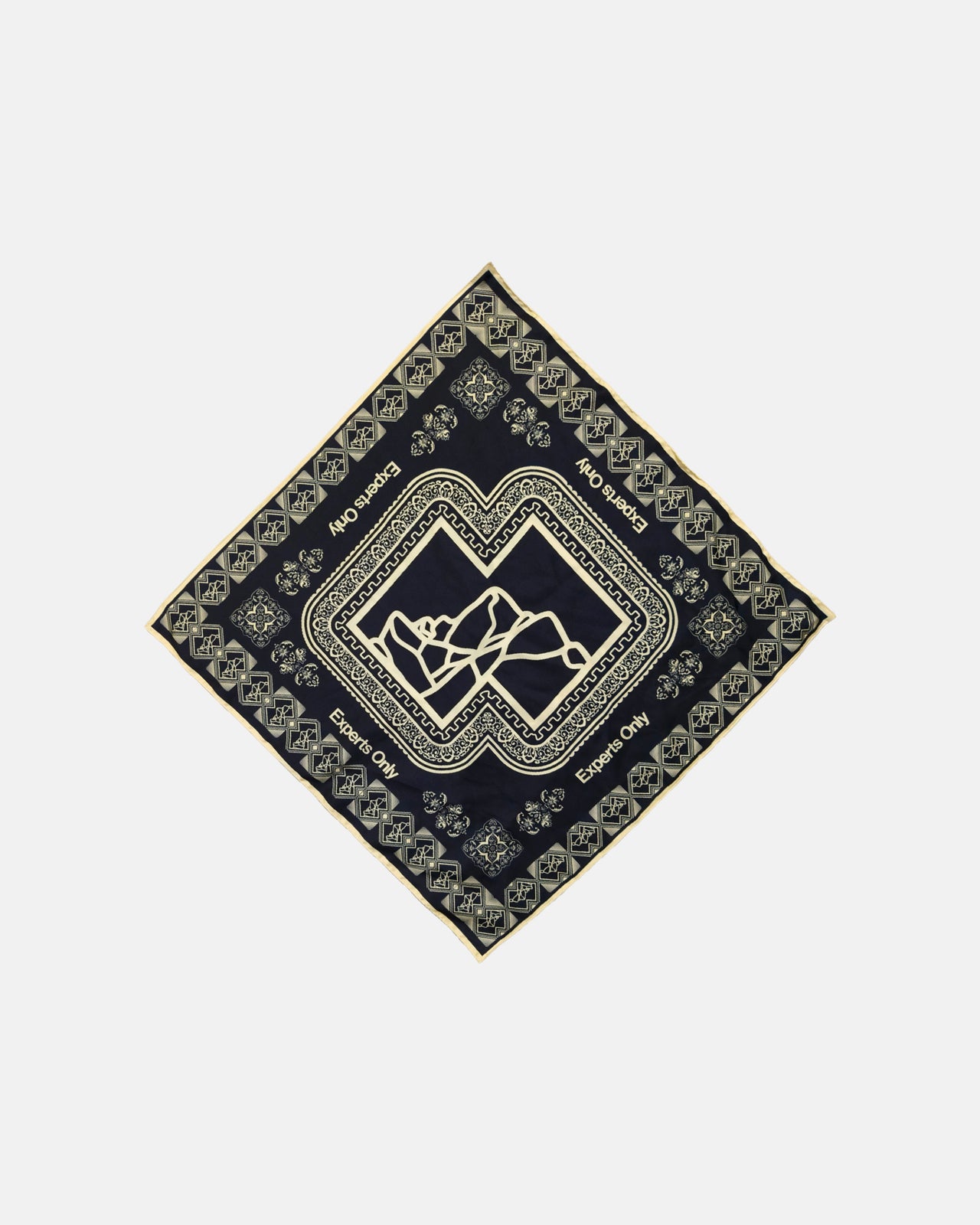 Experts Only Silk Scarf