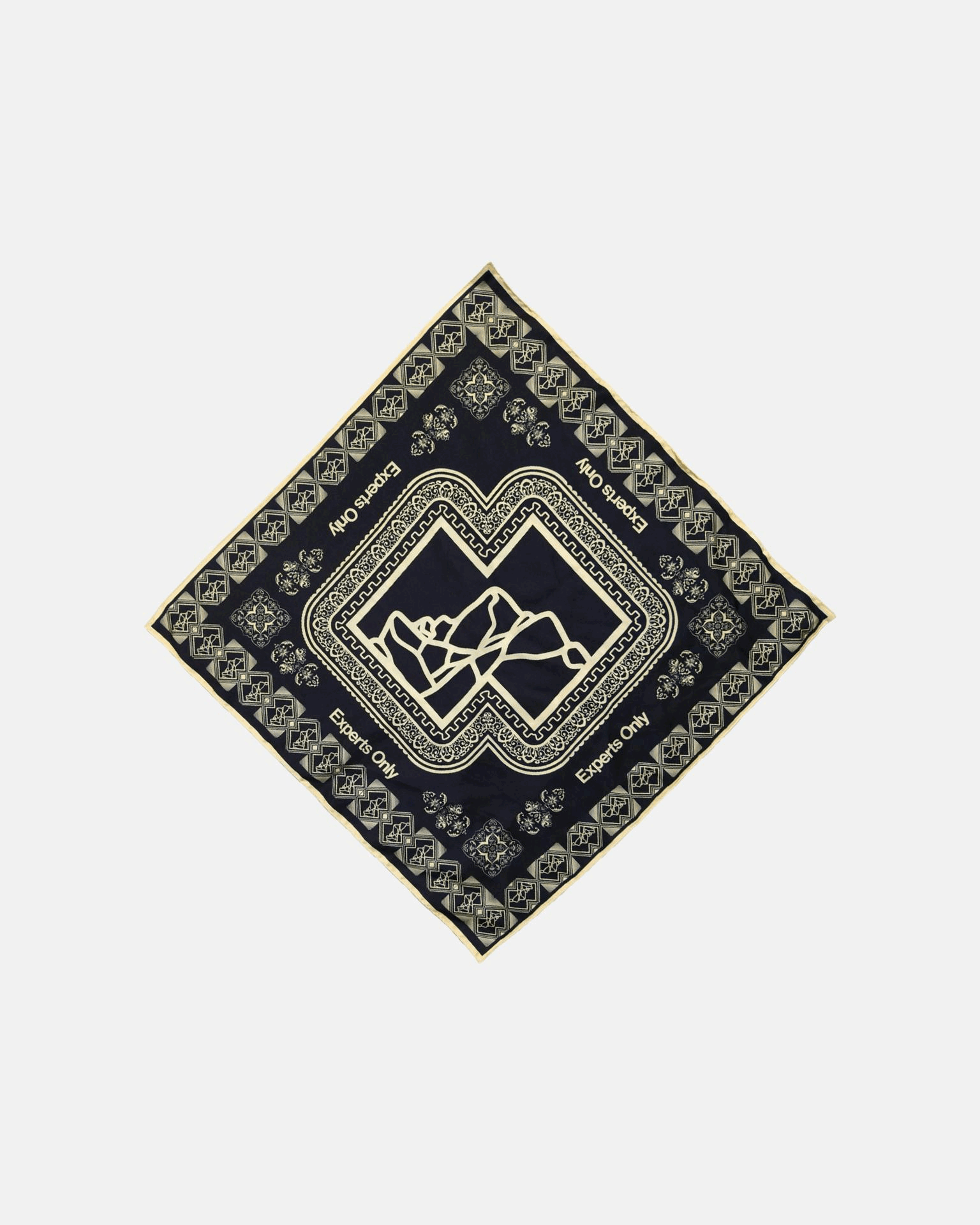 Experts Only Silk Scarf (Black) - John Summit