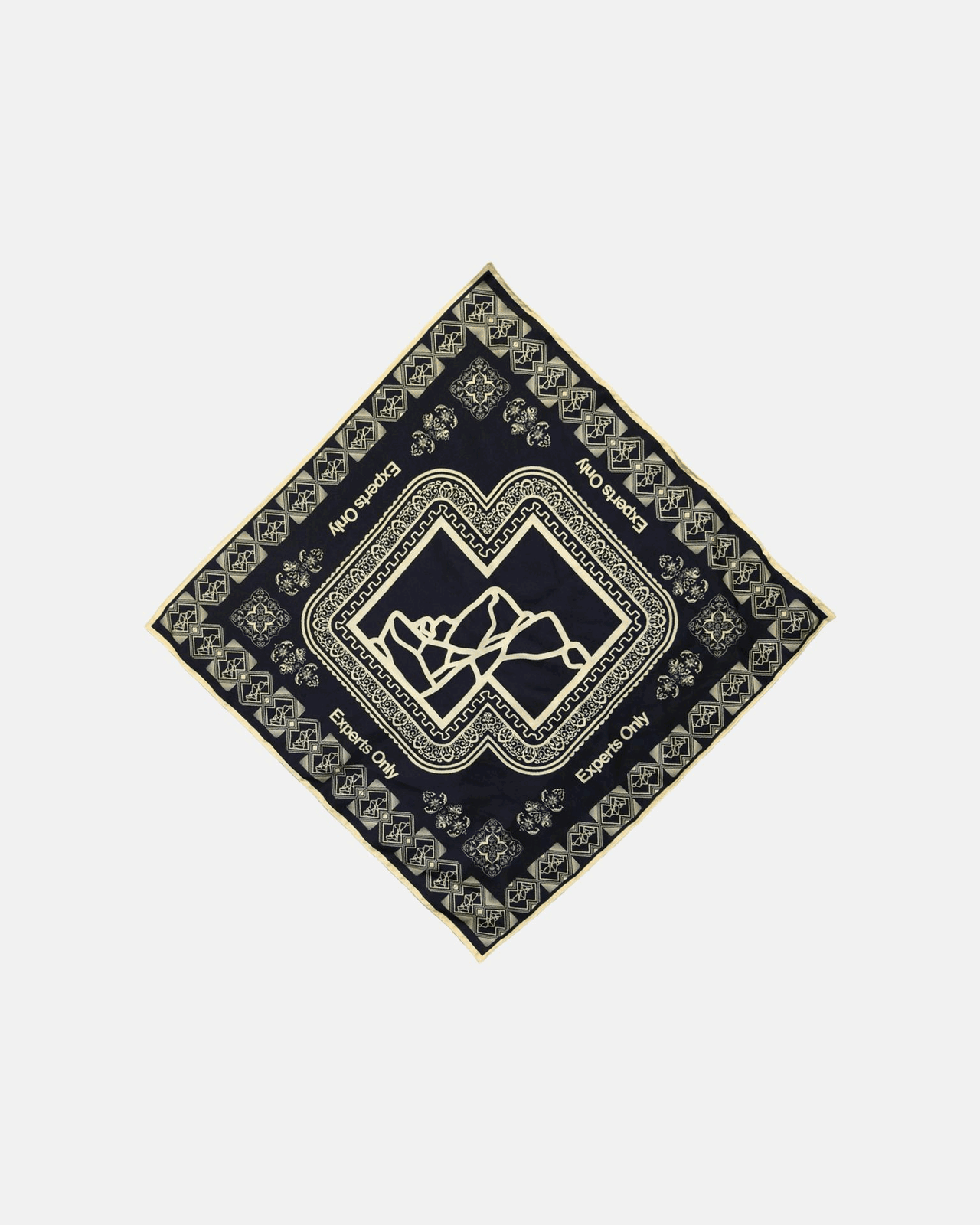 Experts Only Silk Scarf